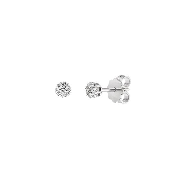 Weißgold Ohrstecker mit Brillanten von Kollektion Müller bei Juwelier Jasper in Lippstadt